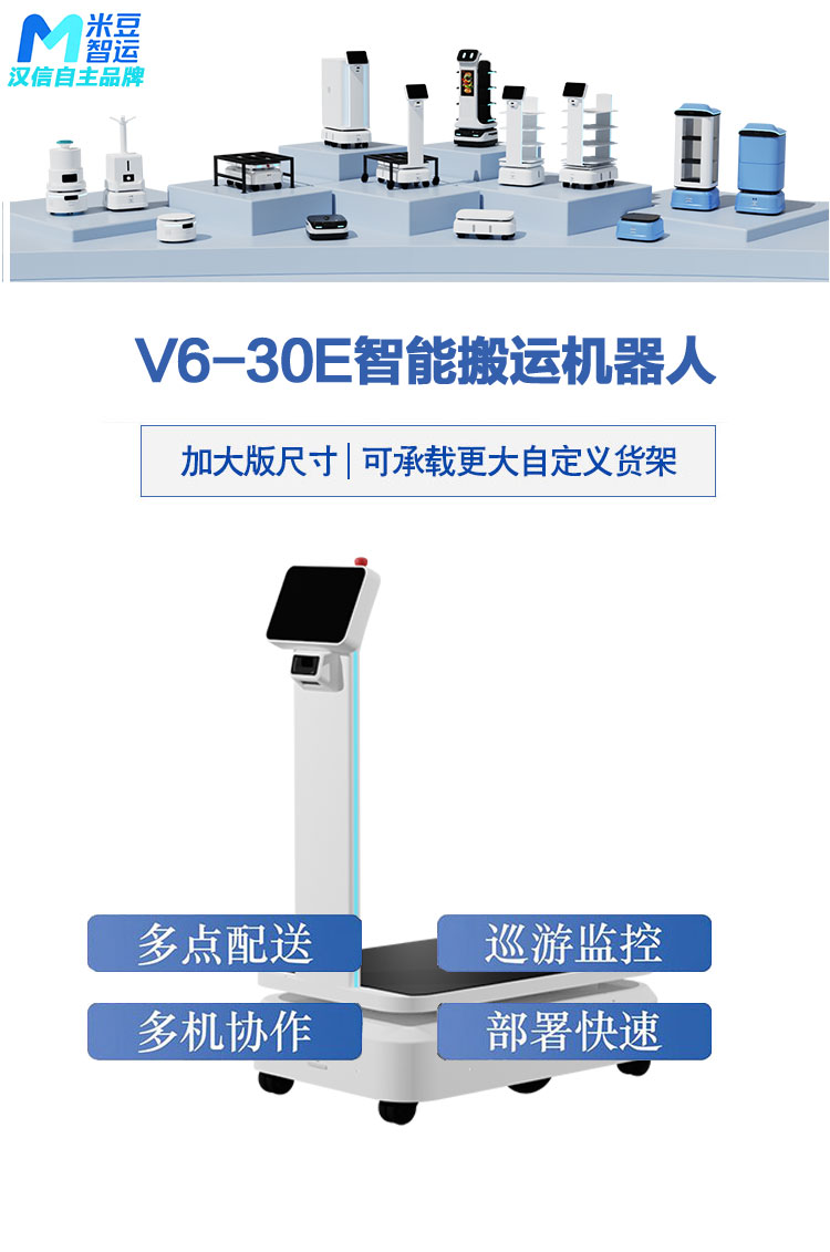 V6-30E_01.jpg
